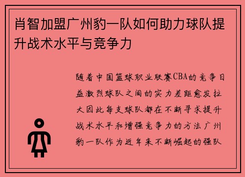 肖智加盟广州豹一队如何助力球队提升战术水平与竞争力